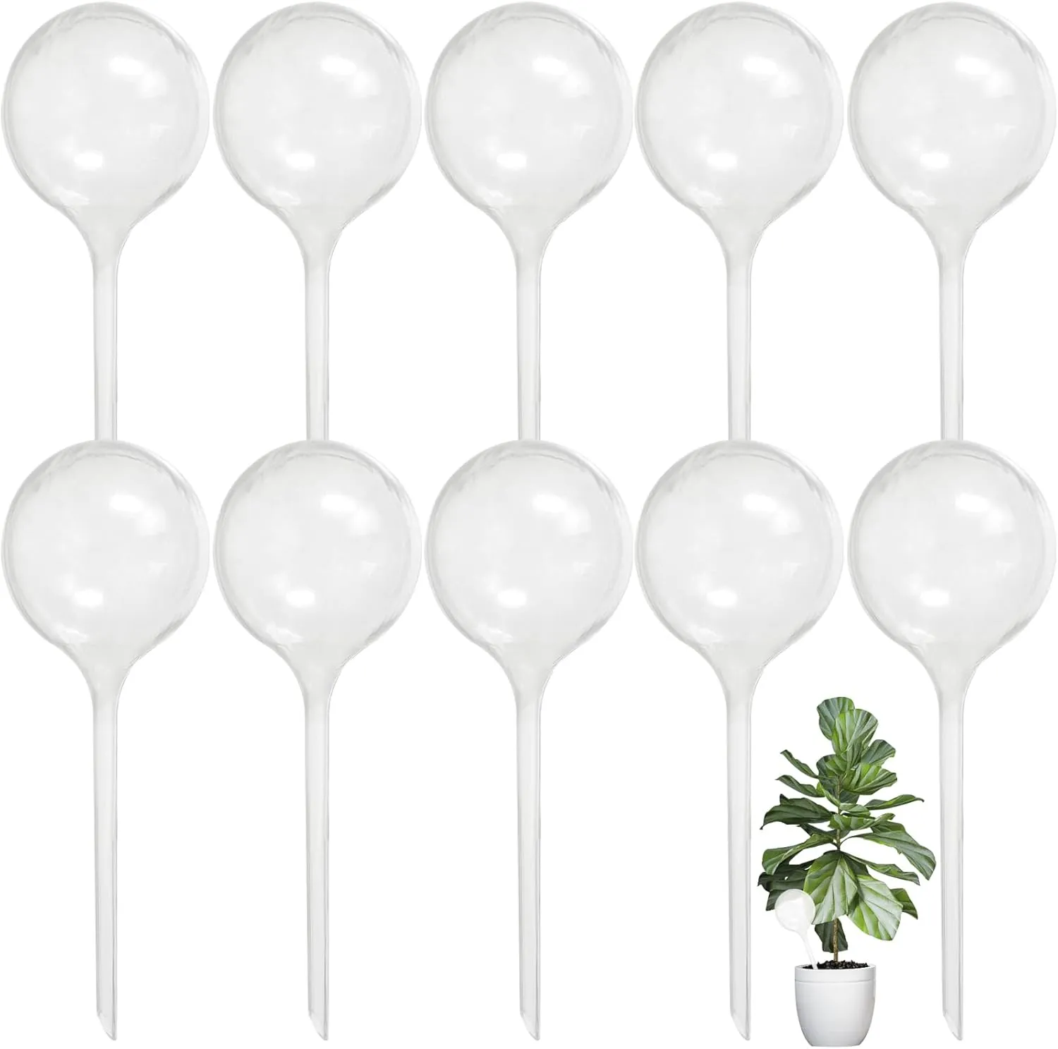 10 PCS Large Clear Plastic Watering Globes,Plant Self-Watering Bulbs,Flower Automatic Water Device,Garden Waterer for Plant Indoor Outdoor Plants Flowers