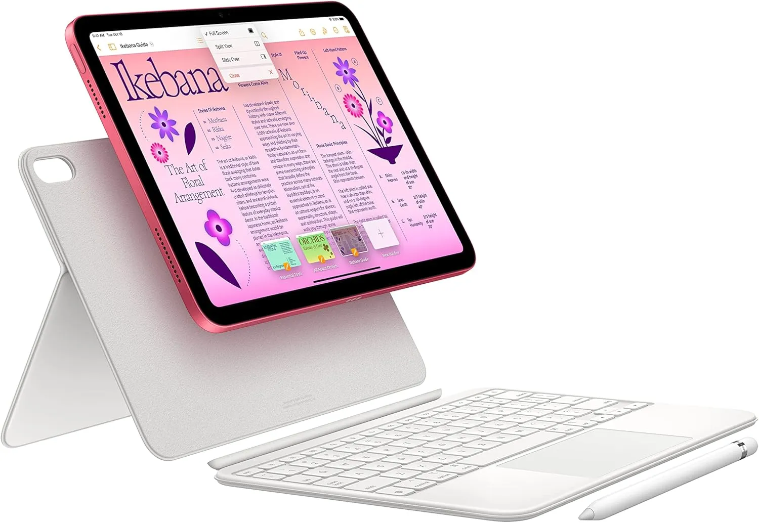 Apple 2022 iPad (10.9-inch, Wi-Fi, 64GB) - Silver (Renewed Premium)