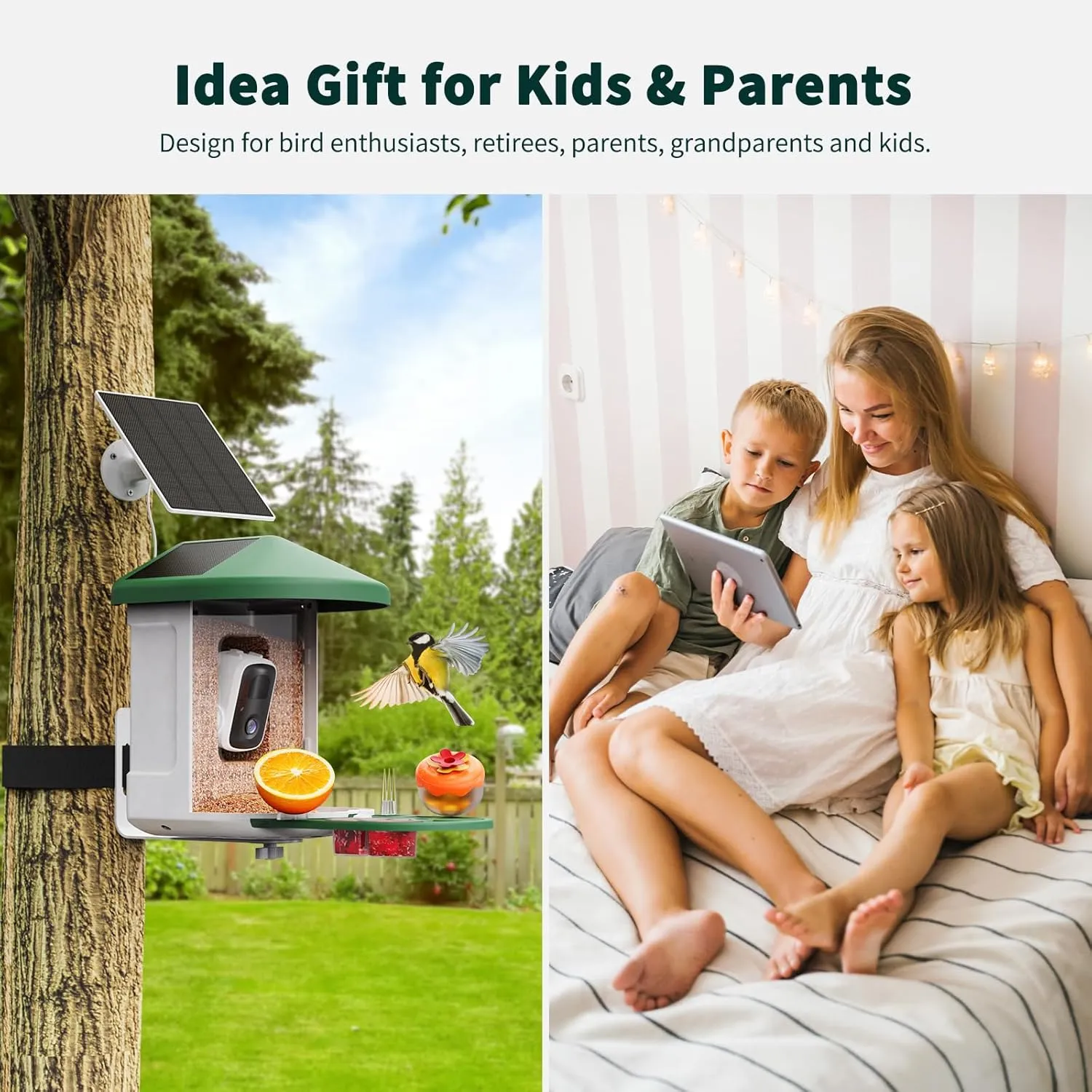 Bird Feeder with Camera with AI Identify Birds Species Solar Panel, Smart Bird House with Cam, 2K Live View, Instant Arrival Alerts