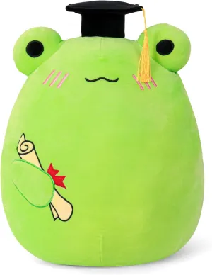Graduation Gifts, Middle School 2025 Frog Stuffed Animals Plush with Mini Graduation Cap, Cute Doll Pillow Toys for High/Elementary School Students