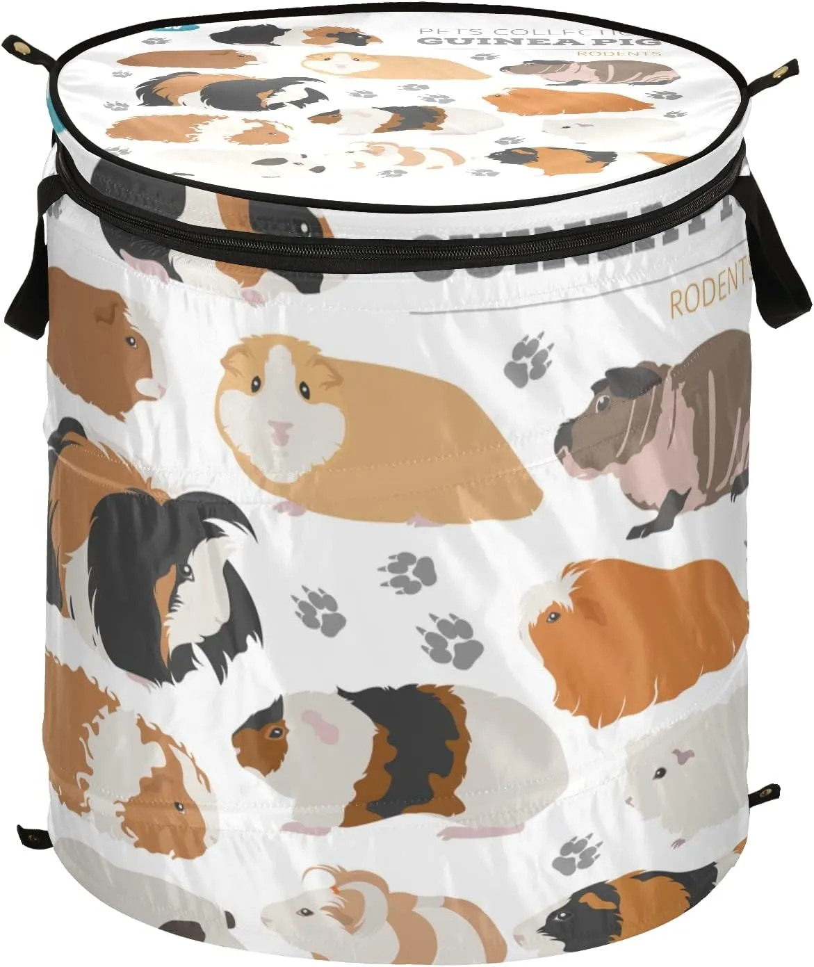 Guinea Pig Breeds Pet Rodents Isolated on White Pop Up Laundry Hamper, Collapsible Dirty Clothes Basket with Zipper Lid, Storage Bag Washing Bin for Room College Dorm Travel