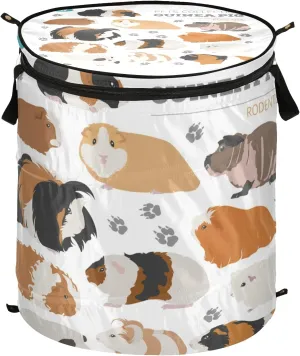 Guinea Pig Breeds Pet Rodents Isolated on White Pop Up Laundry Hamper, Collapsible Dirty Clothes Basket with Zipper Lid, Storage Bag Washing Bin for Room College Dorm Travel