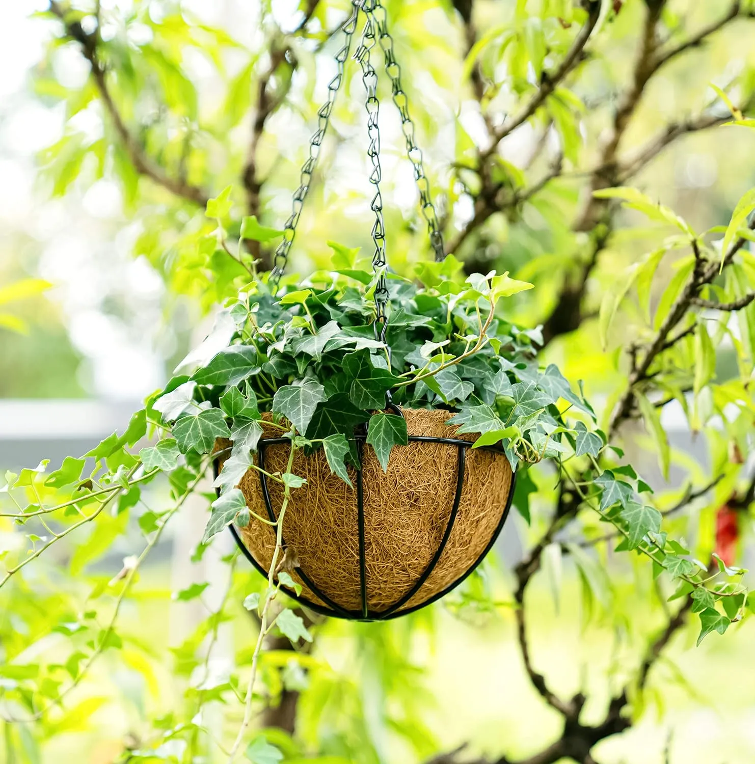 Hanging Baskets for Plants with Coco Coir Liner 10'' Round Wire Hanging Planter Holder with Chain Decor Porch Garden Flower Pot Indoor Outdoor Watering，2 Pack