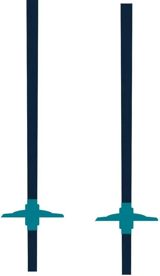 K2 Style Aluminum Ski Poles