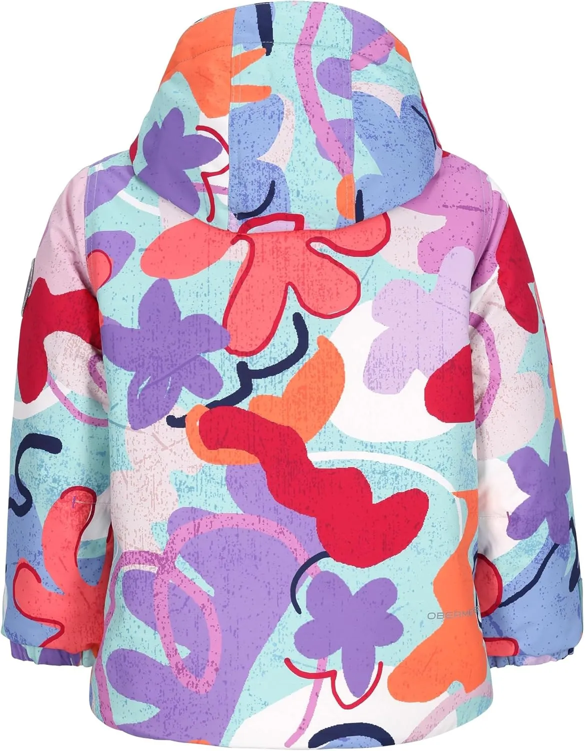 Obermeyer Boys' Ashor Jacket (Toddler/Little Big Kids)