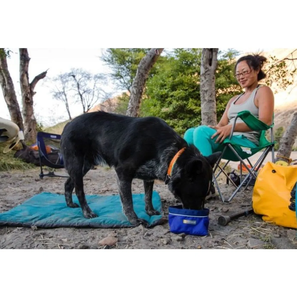 Quencher Collapsible Dog Bowl